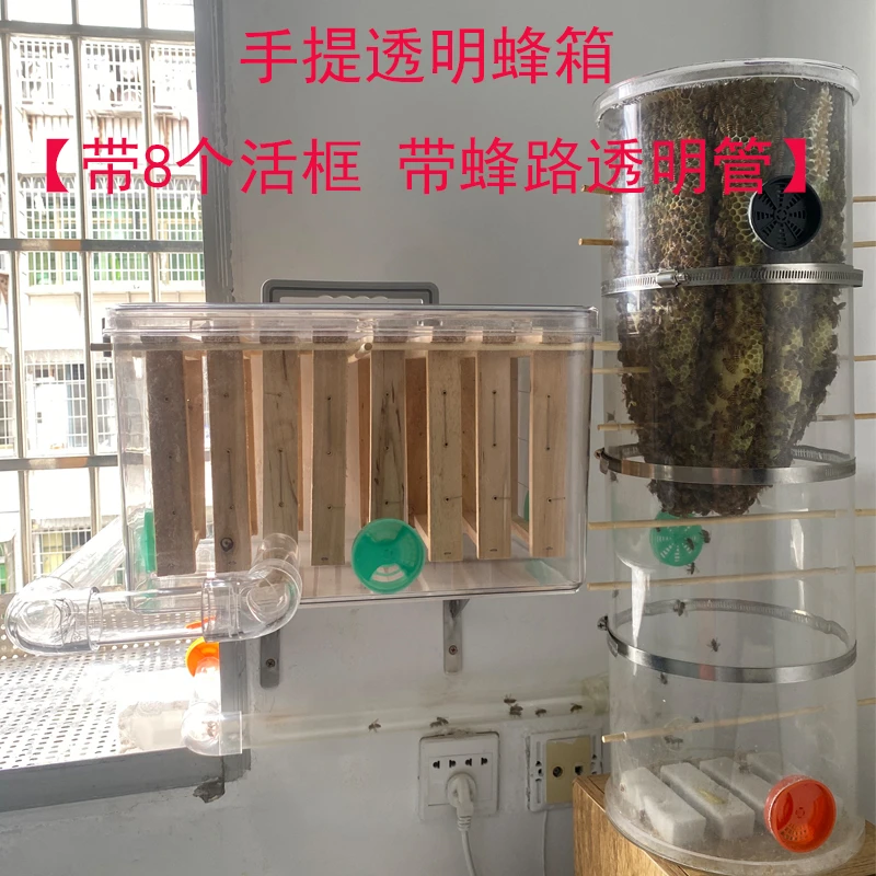 室内外养蜂手提透明蜂箱新款全套家养蜜蜂网红直播展示观赏透明管