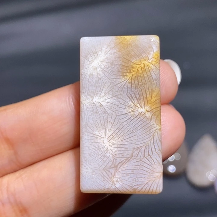 【闪购商品】未镶嵌珊瑚玉硅化玉