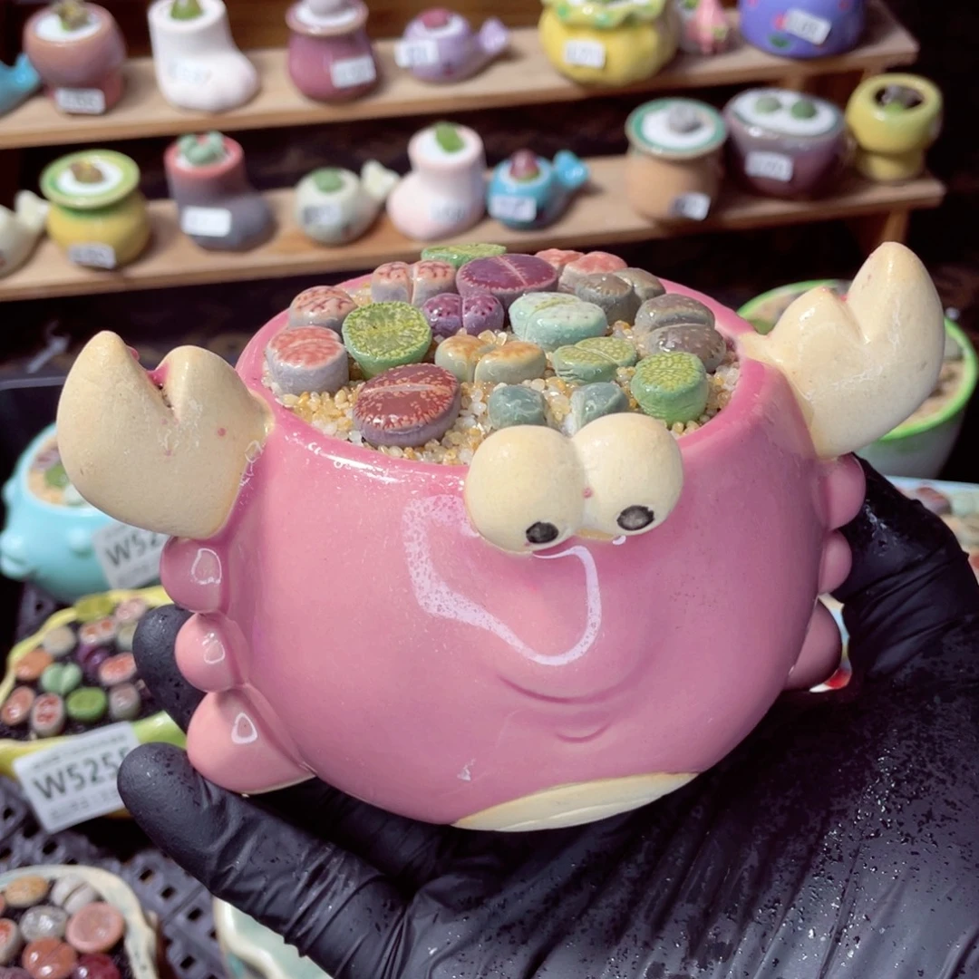 夜间零下地区拍保温箱w5267