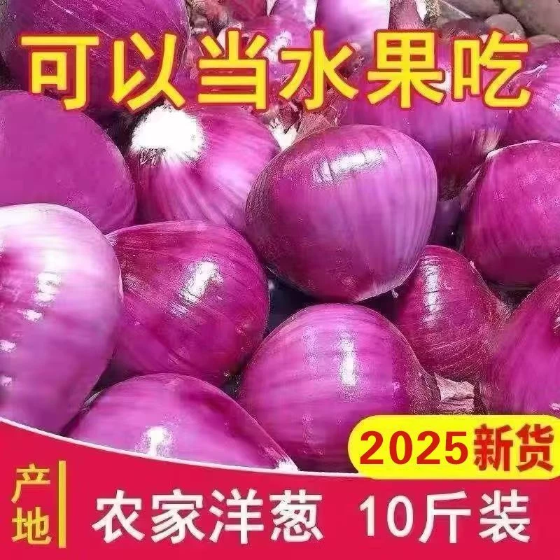 【10斤】水果洋葱当季新鲜现挖紫皮可生吃可凉拌可炒菜的蔬菜