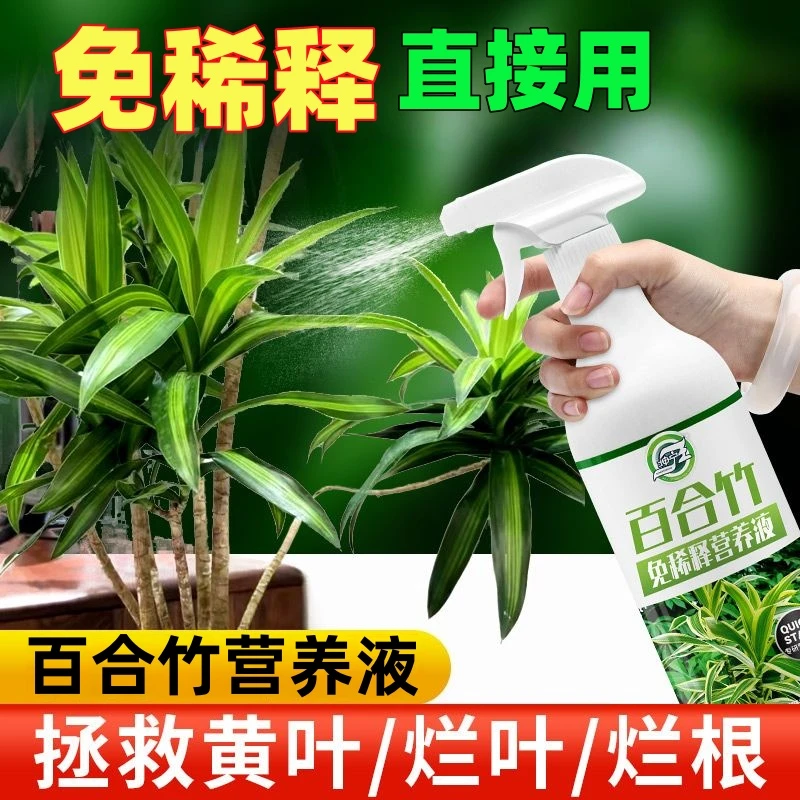 百合竹肥料免稀释营养液金边柳叶专用肥活力促生长绿植生根氮磷钾