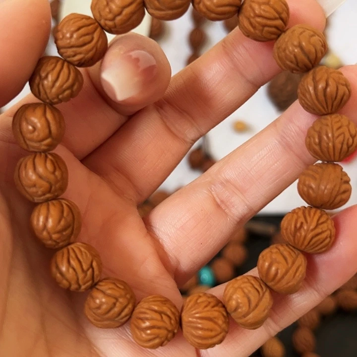 渡***探险1258669999999