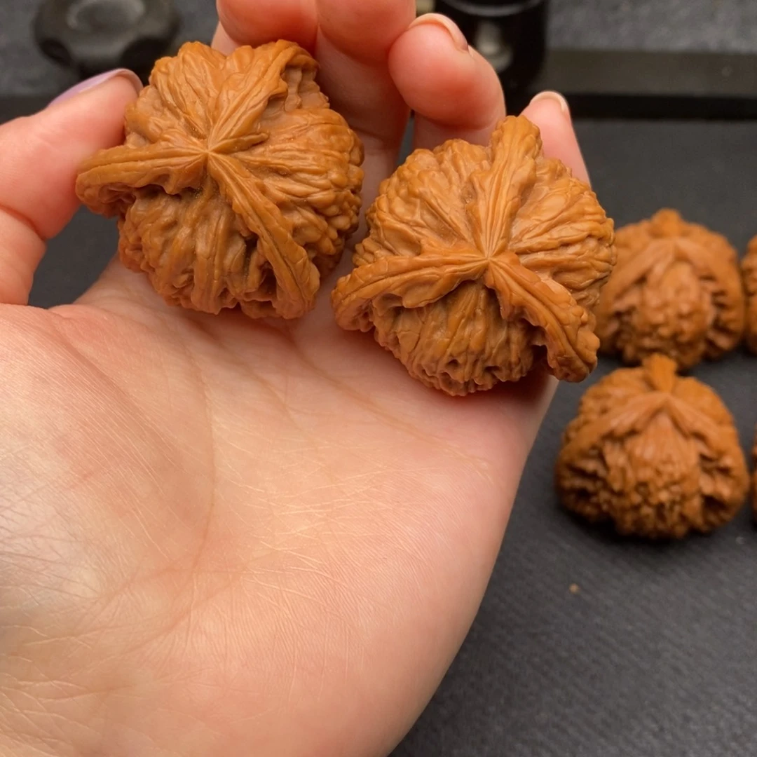 @**妳白狮子111111121