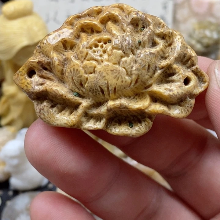 颈饰未镶嵌硅化珊瑚（珊瑚玉）