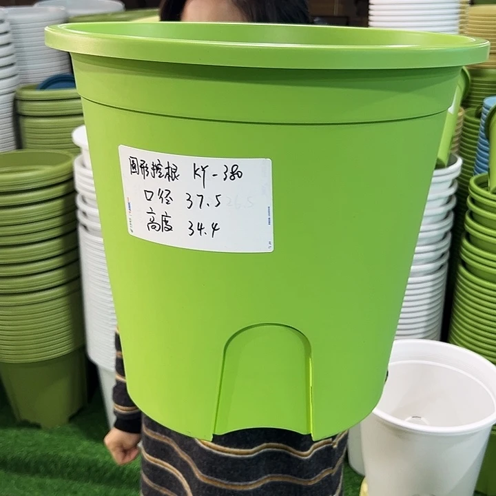 正品圆控口37.5高34果绿无托3只