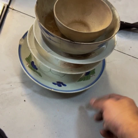 用***2杂色豆（科檀/科特迪瓦檀木）