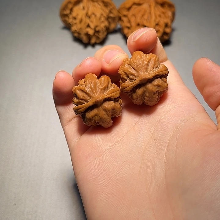 文玩核桃把件霸王龙793