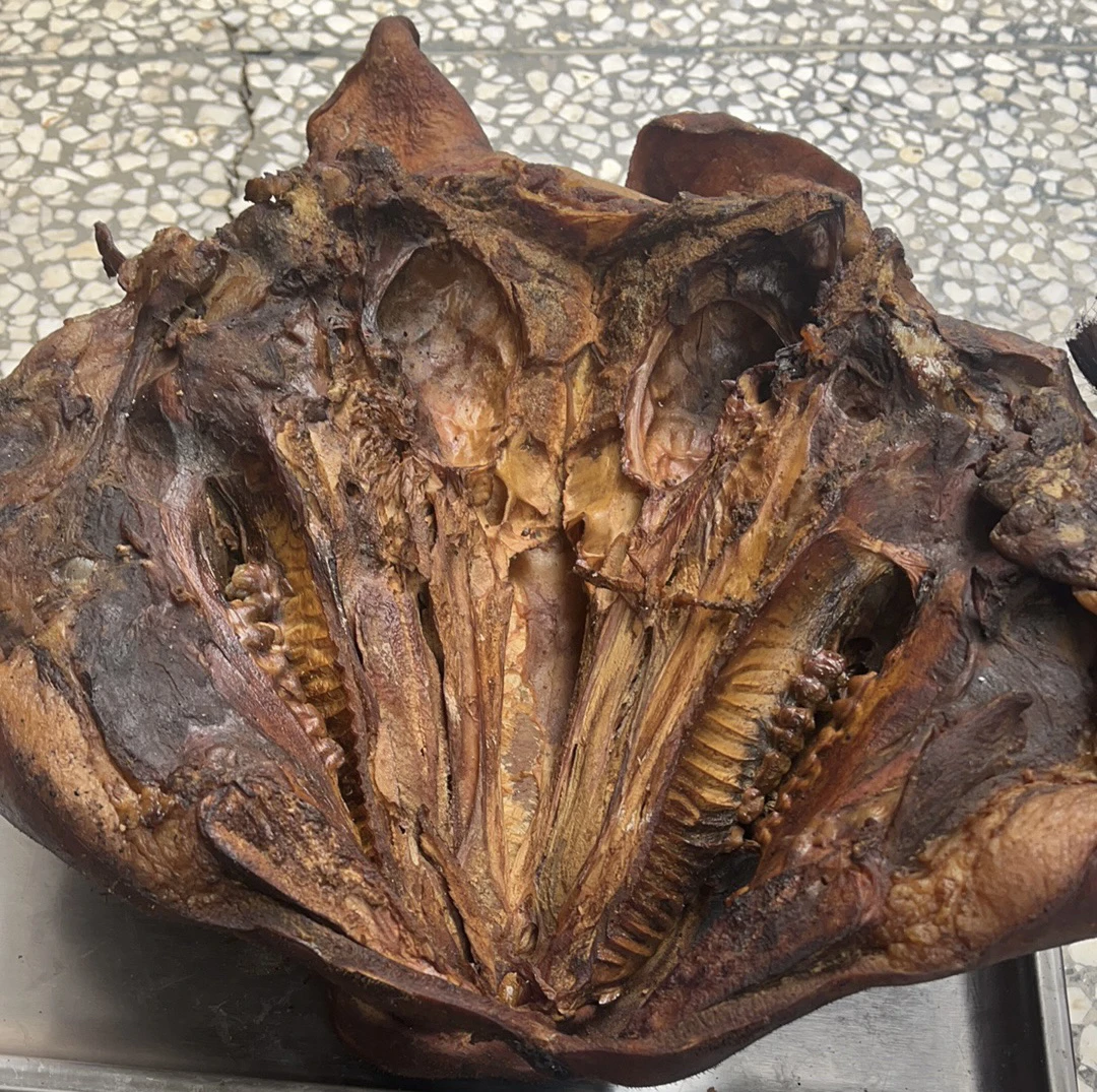 农村土猪腊猪头【默认烧皮】