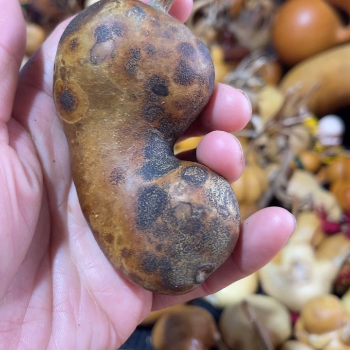 心***安葫芦哈哈哈哈哈哈