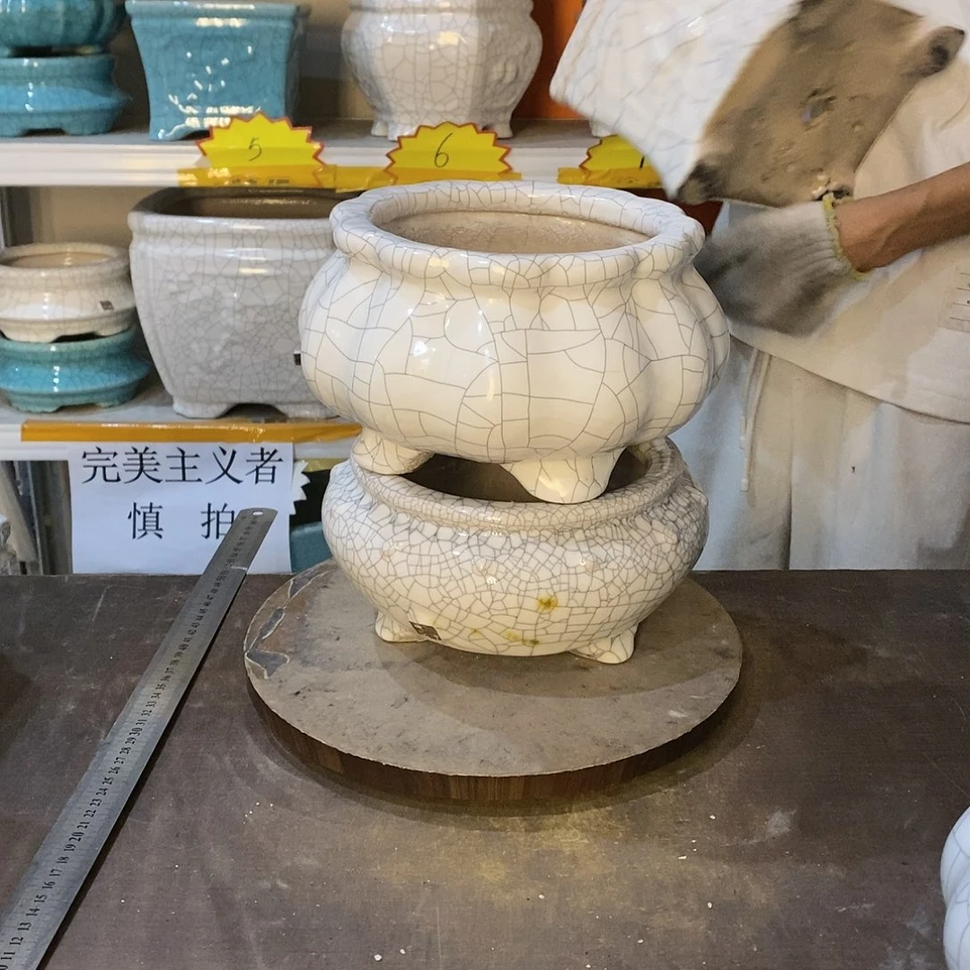 瑕疵花盆花盆里的