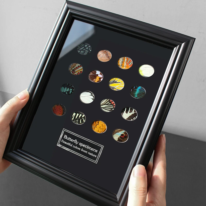 蝴蝶翅膀【眼影盘】真翅膀标本装饰画桌面摆件送女生闺蜜生日礼物