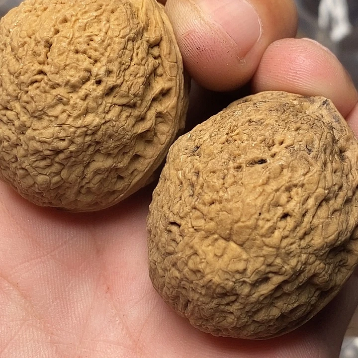 文玩核桃把件志成云铁文玩88