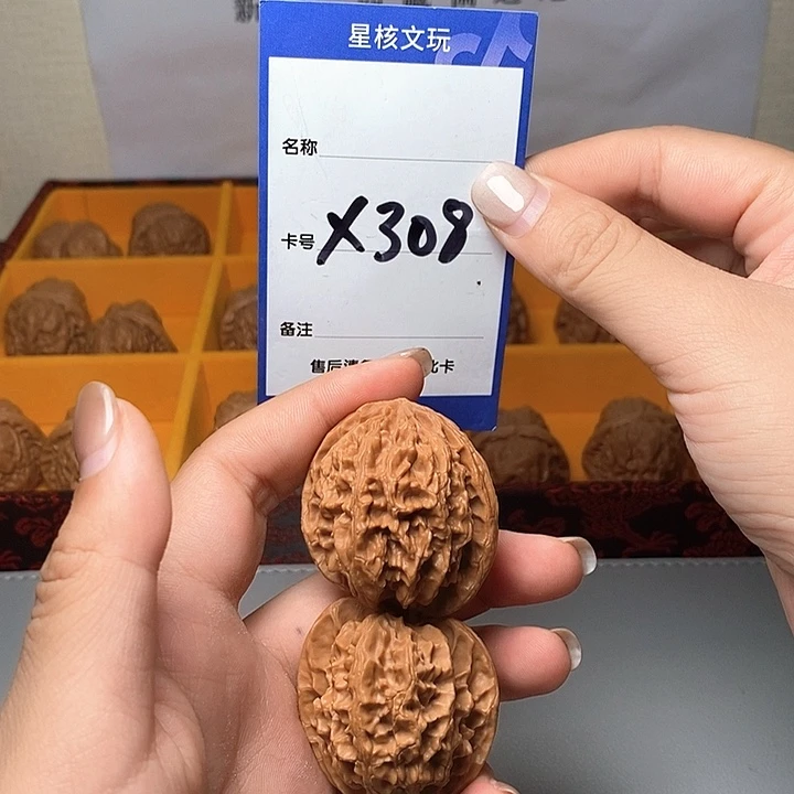 吊坠龙脊菩提苹果园 38