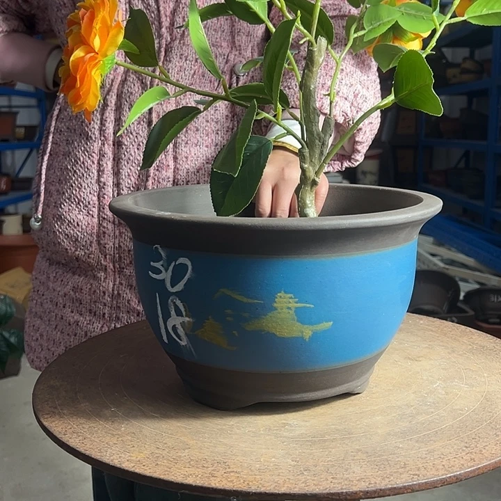 30蓝山花盆花盆花盆花盆花盆