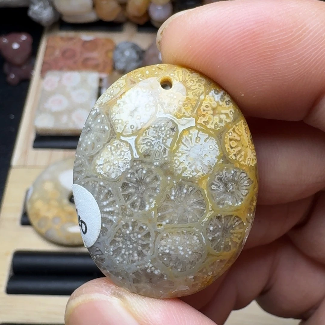 硅化珊瑚（珊瑚玉）未镶嵌纯天然色有机玉石保真色