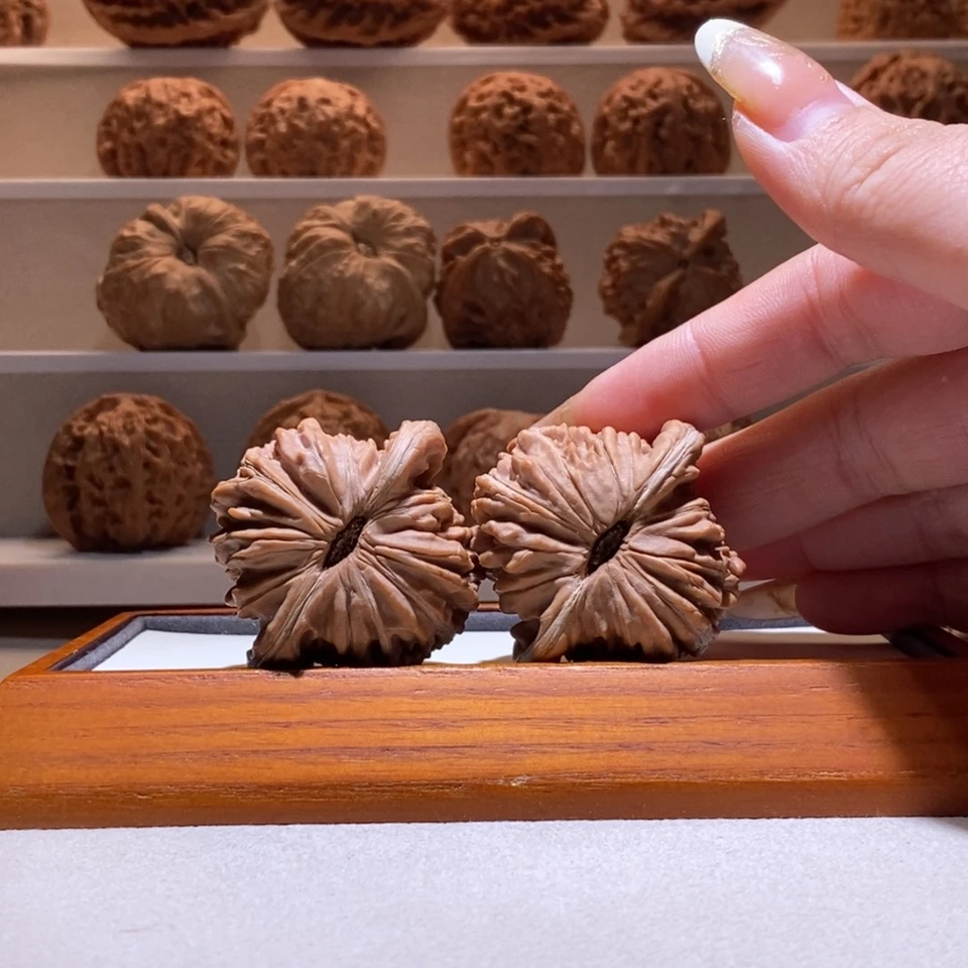 45全品四座楼大尺寸精品