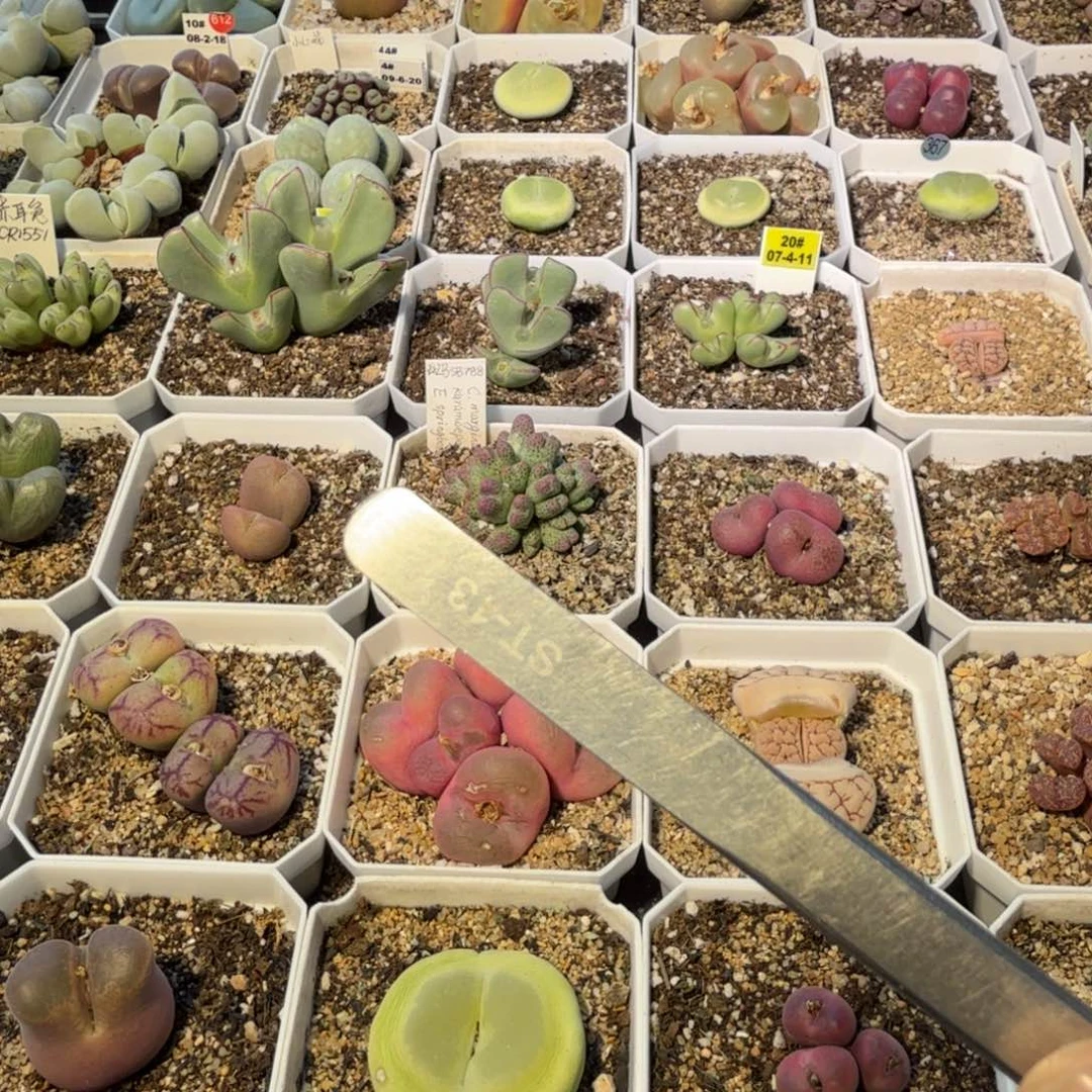 不***话不听话发货。