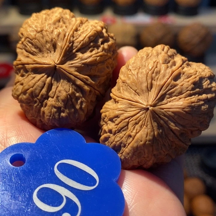 核桃25号链接玫瑰三棱40尺寸