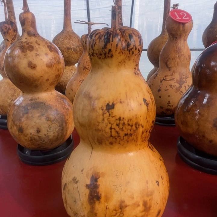 幸****大叶紫檀（黑酸枝木类）