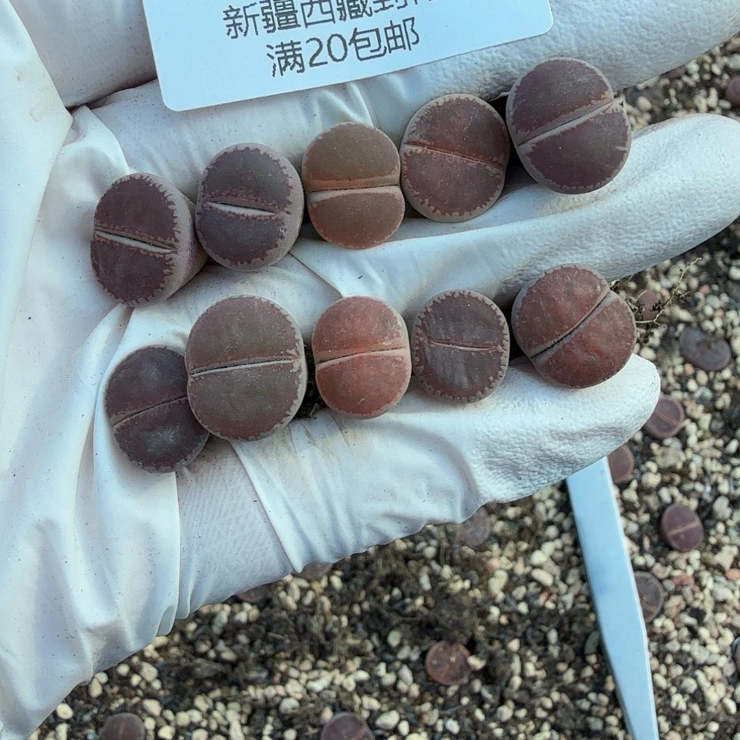 不用我送过去574你