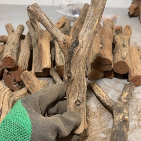 大果紫檀（缅甸花梨）夏*