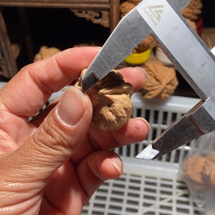 *****核桃古蟾三棱尺寸35小磕尖