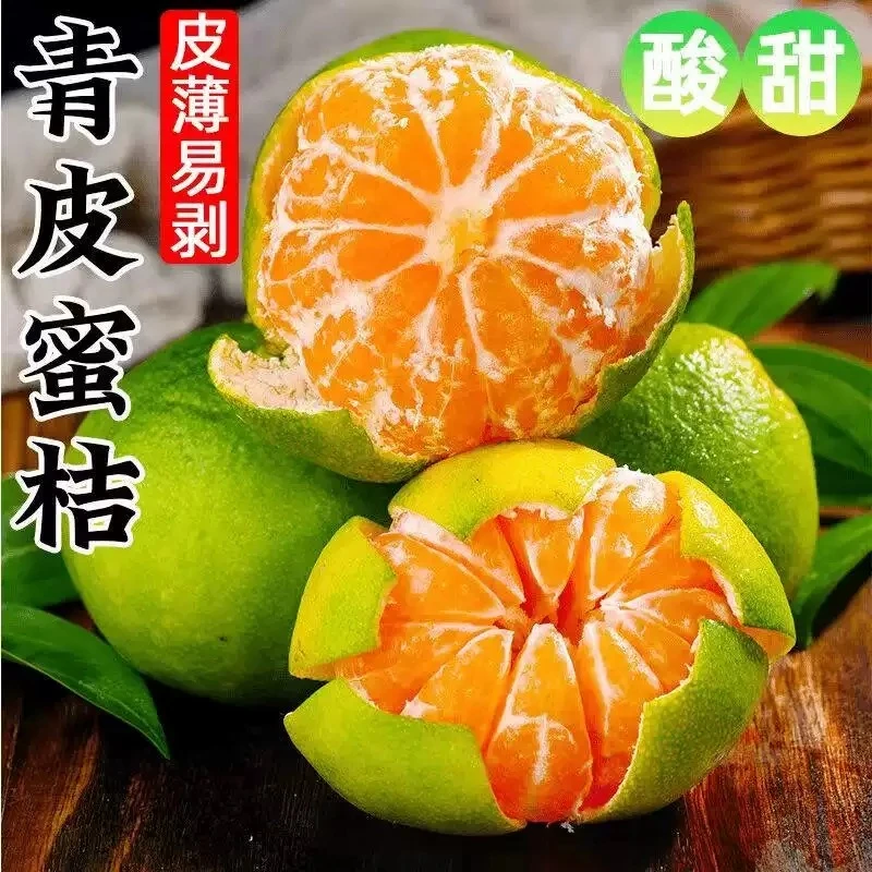 湖南正宗新鲜高山青皮蜜桔早桔薄皮多汁酸甜爽口应季水果现摘现发