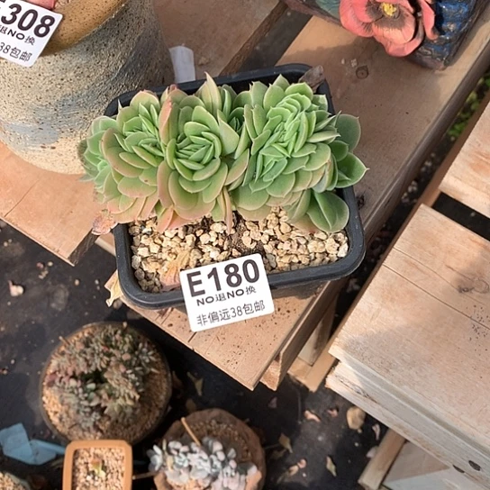 笑***)星娜塔缀化180 亏本处理退款拉黑需延迟发货