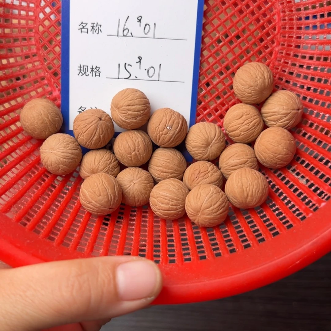 彤***业猴头核桃手串聚宝盆16同尺