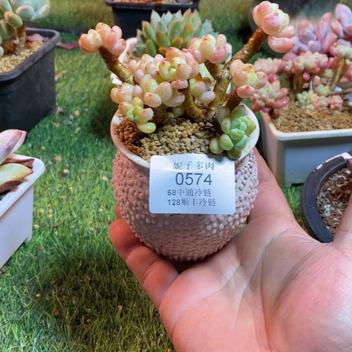 0574啊啊啊啊啊啊啊啊啊