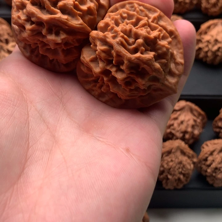 其他核桃?秦岭的森林中也是