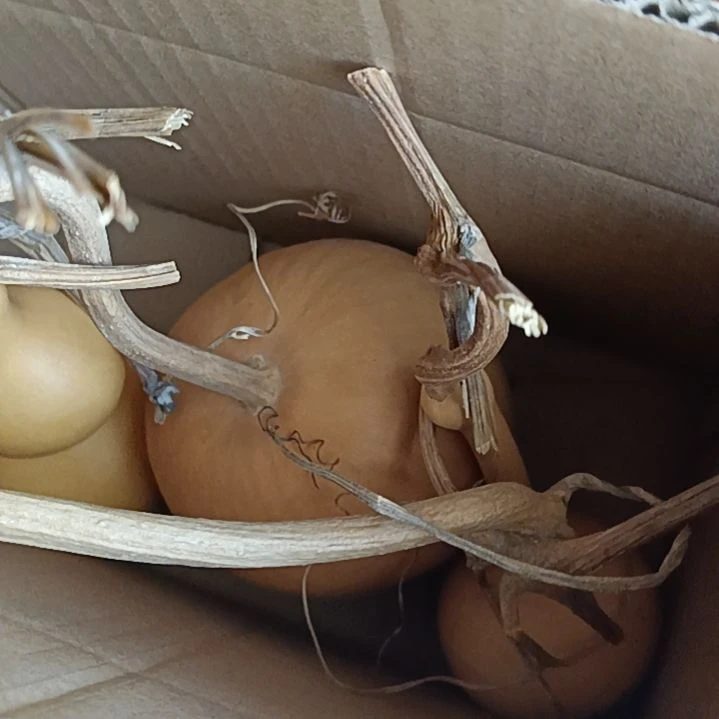 q****n一把苹果葫芦一把八宝葫芦，一个油锤葫芦