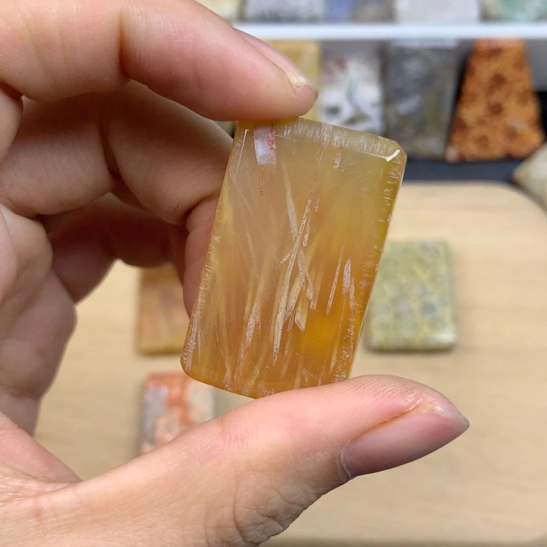 我***人硅化珊瑚（珊瑚玉）未镶嵌五