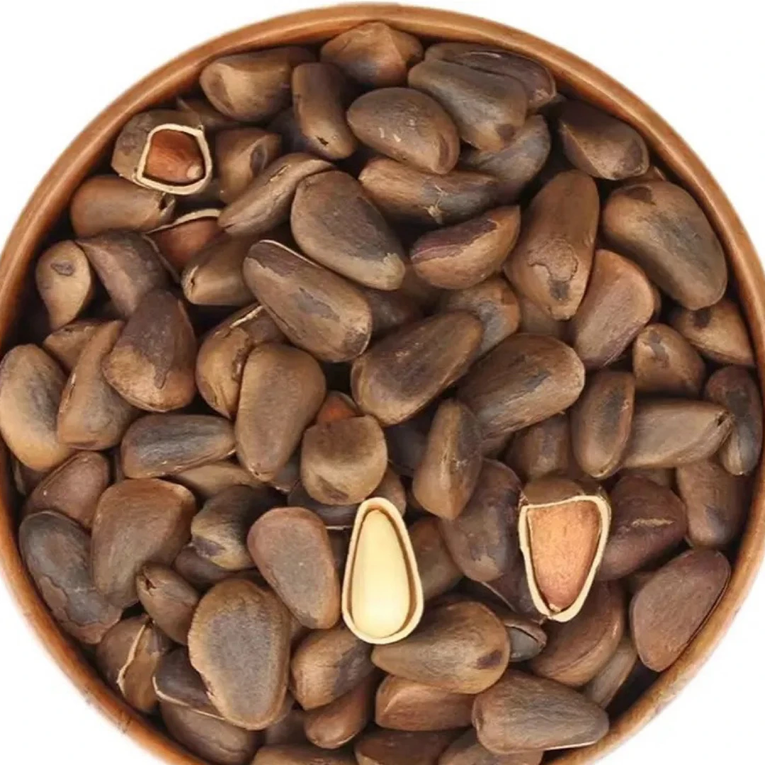 2025年（小雪精选）大颗粒笨炒熟松子