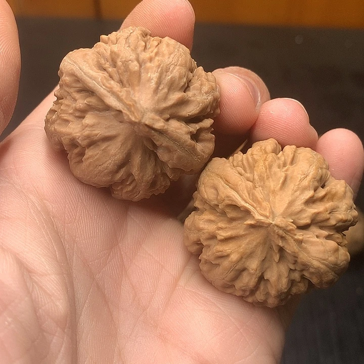 吊坠文玩核桃38霸王龙