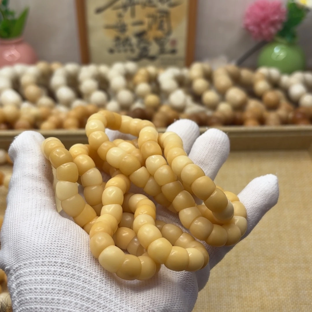 吊坠菩提根/象牙果10毛坯小瑕疵树王肠双圈福利一锅772