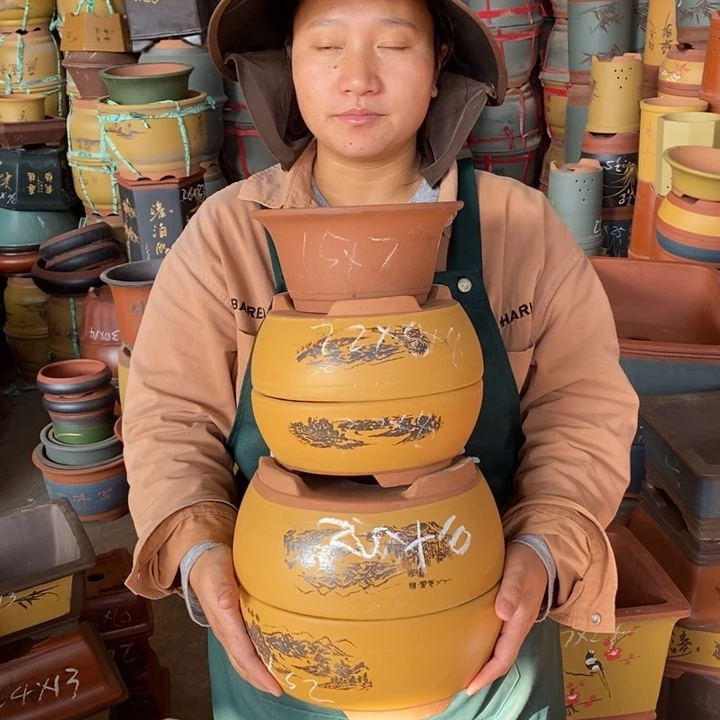 紫砂花盆盆栽花卉苗木种植