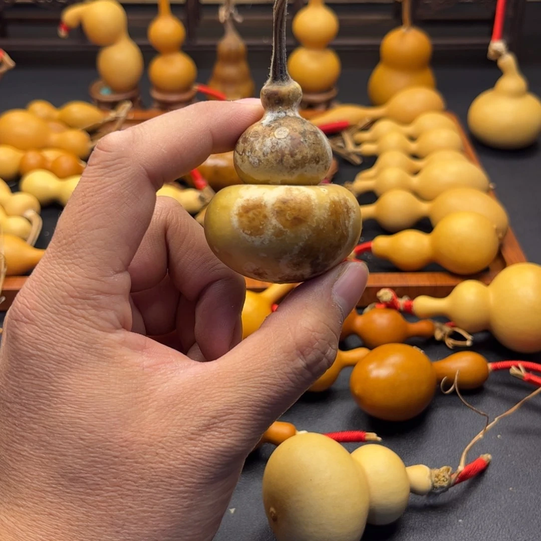 除****你葫芦葫芦葫芦葫芦