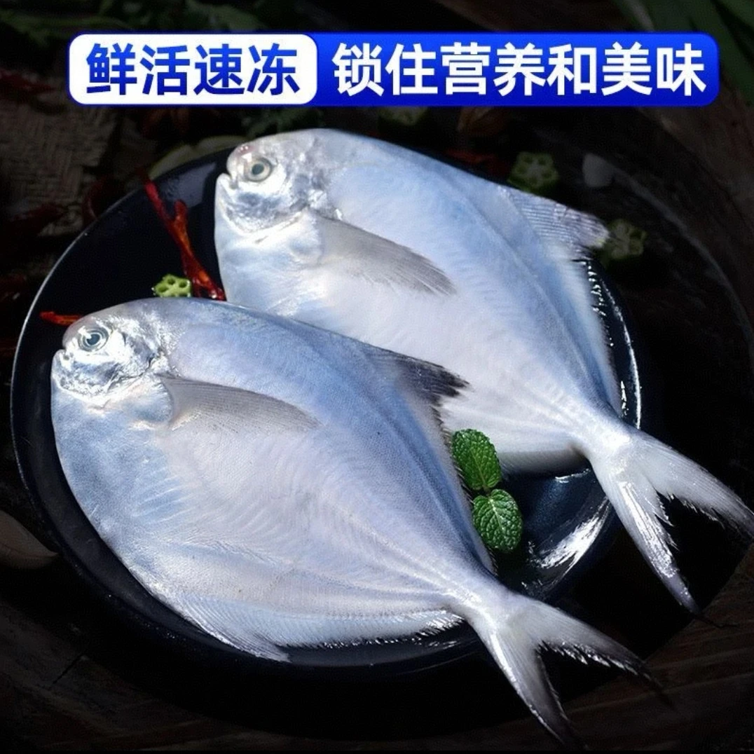 【到手5斤】新鲜海捕银鲳鱼肉质鲜嫩1斤5条装顺丰京东冷链包邮Z
