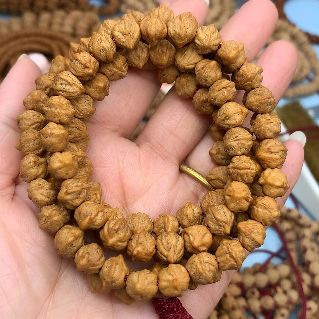 栢香横打原桩白芽