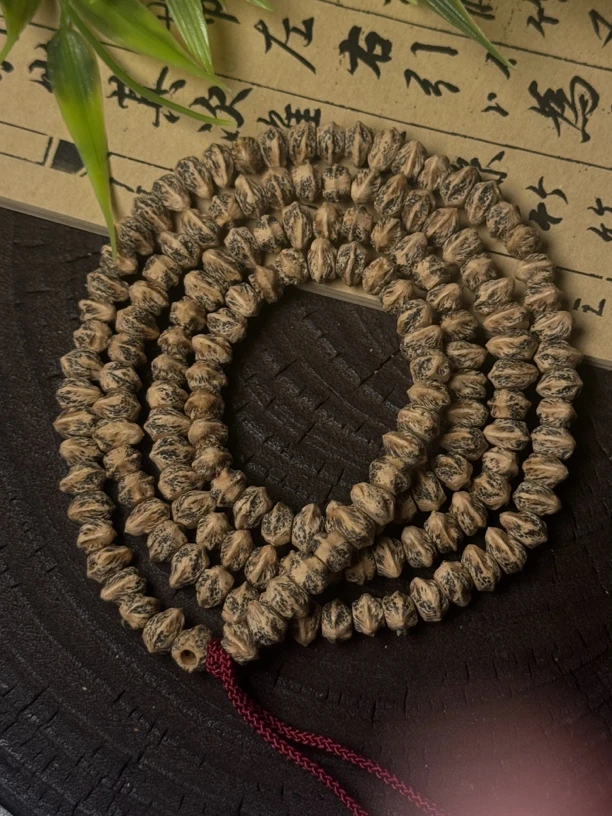 刺芒飞碟片脏鬼白芽口热振籽柏香籽百香籽