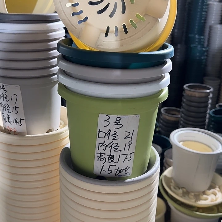 微瑕3#口径21无托果绿10个