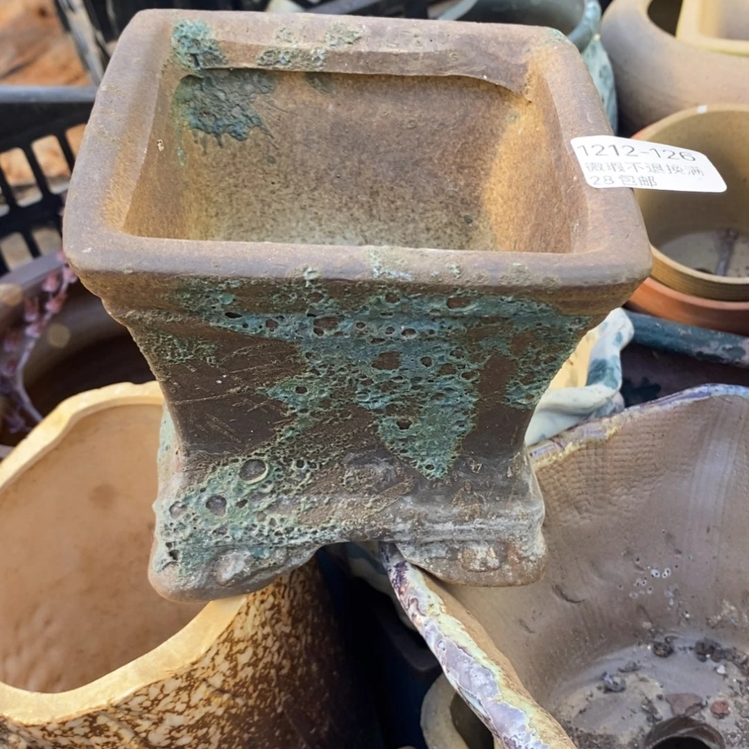 126号多肉盆口径9.5