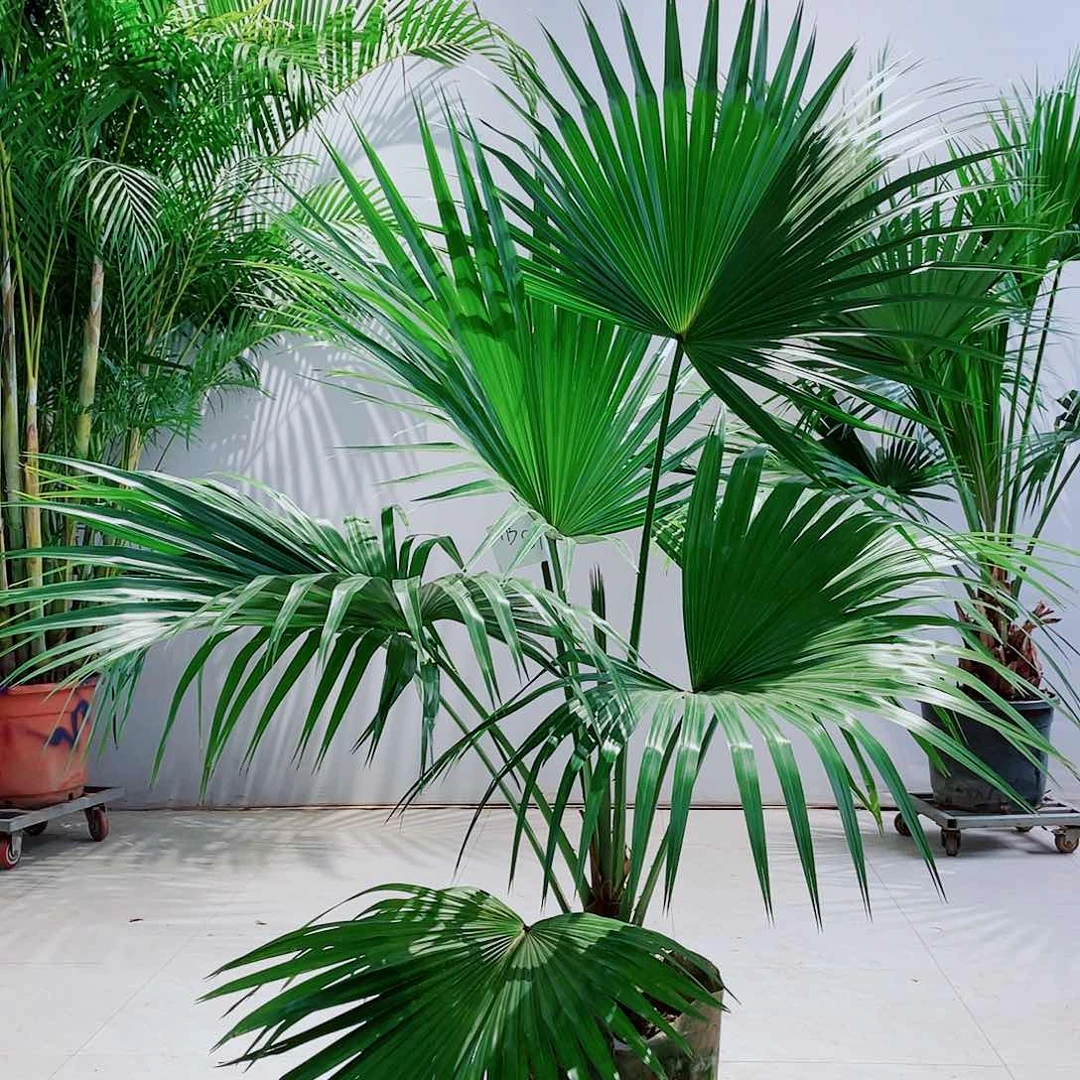 c****324678900000000000