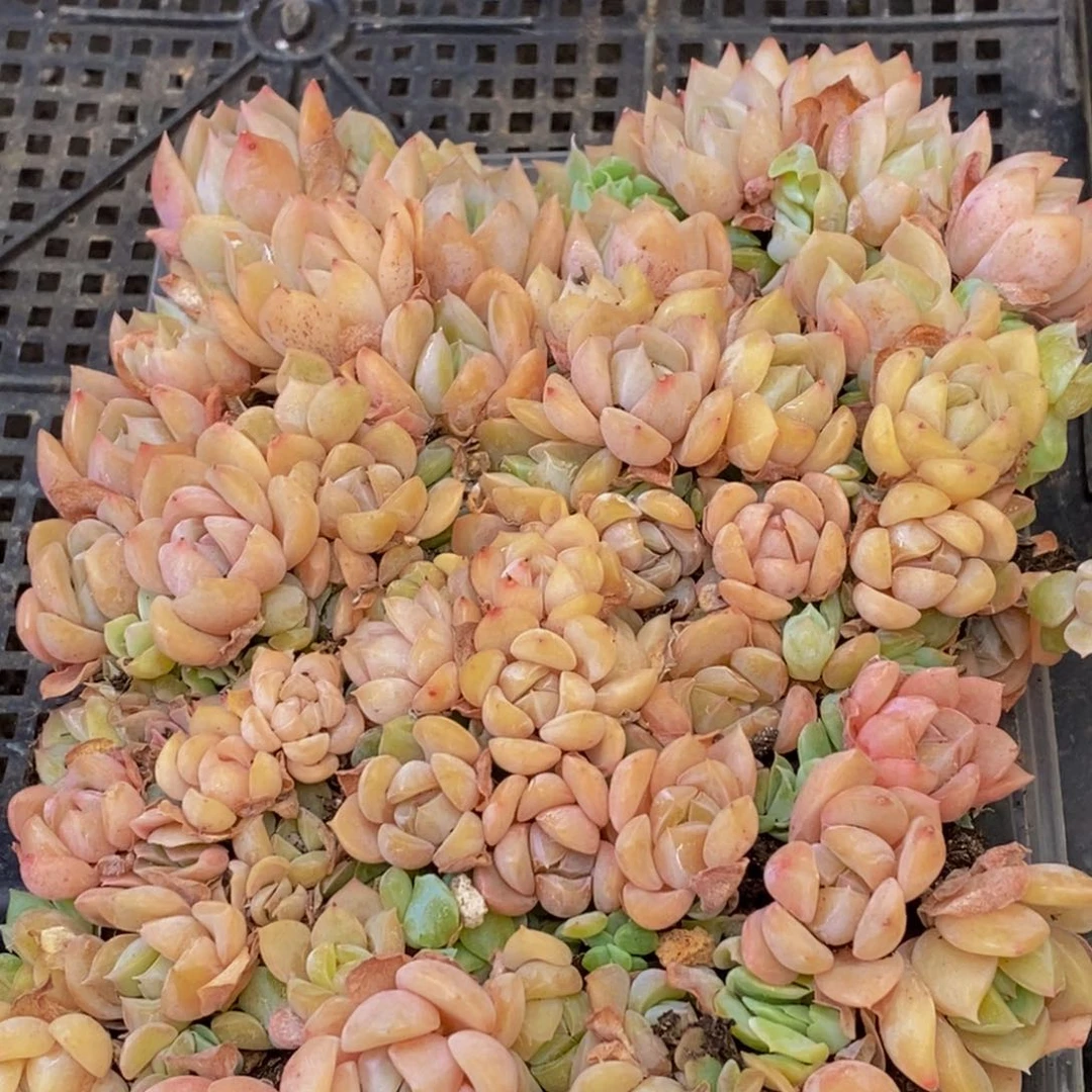 203的人最无情的是