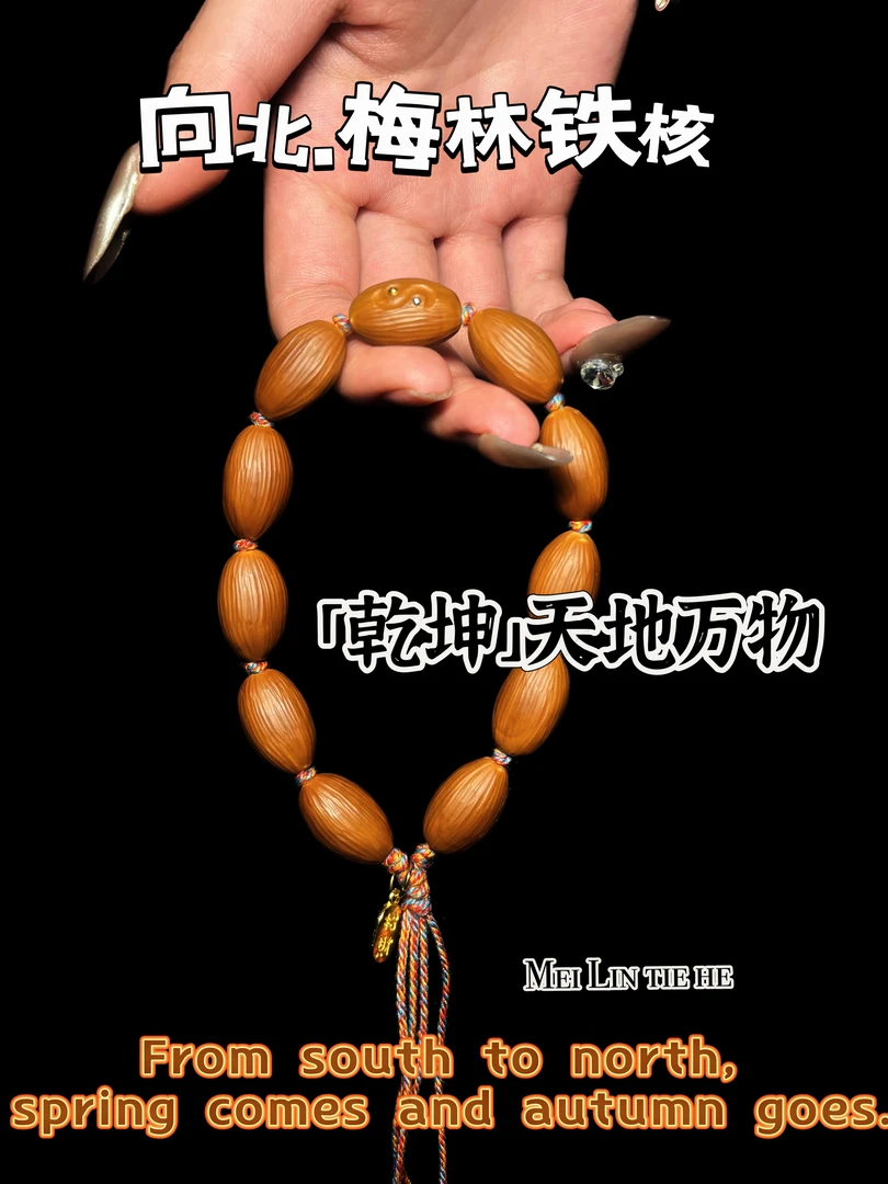 「乾坤」天地万物1.2尺寸梅林铁核橄榄核