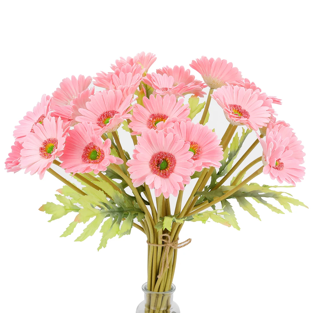 云南直发非洲菊鲜切花家庭插花