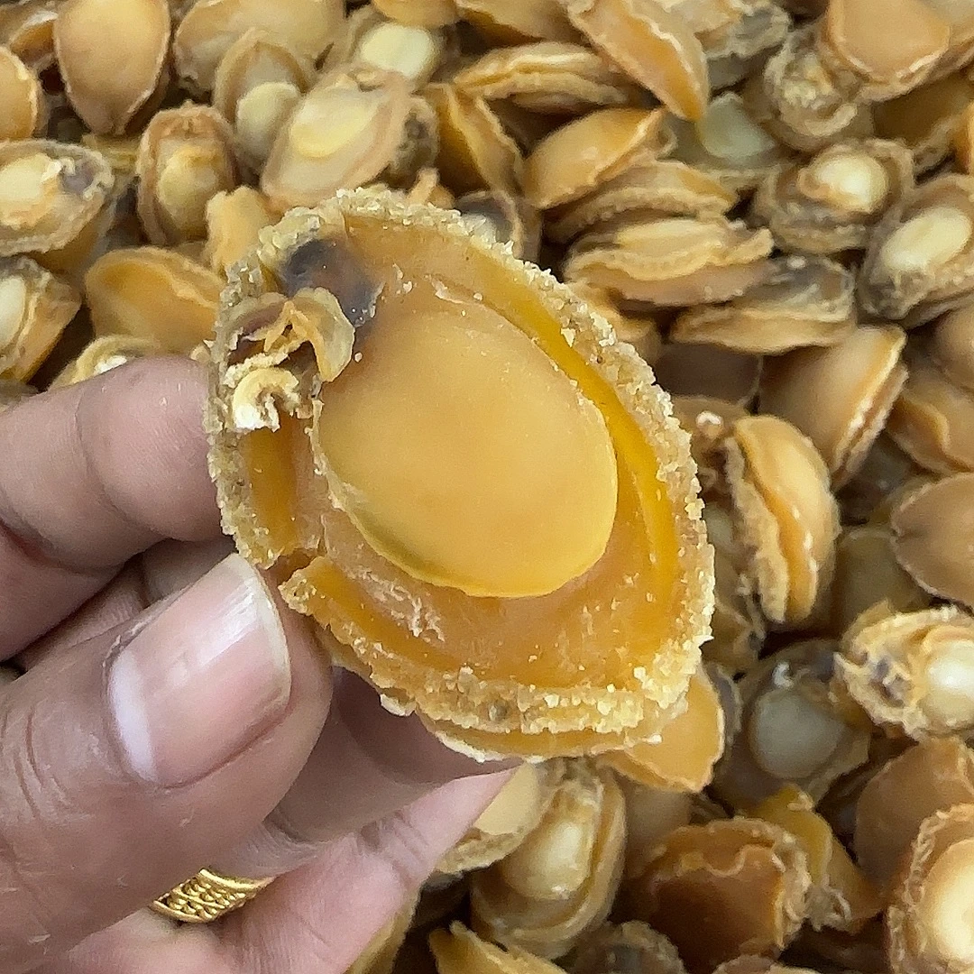 60头大连鲍鱼250-500克 干鲍鱼煮菜炖汤食用