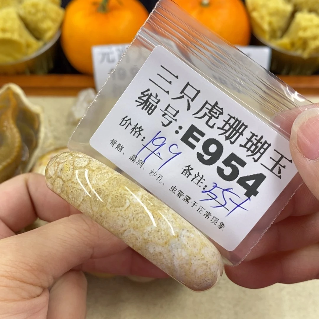 硅化珊瑚（珊瑚玉）1未镶嵌糖