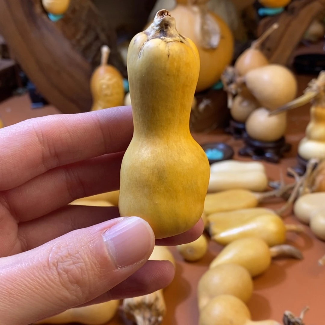 地***产教练教练教练教练经理